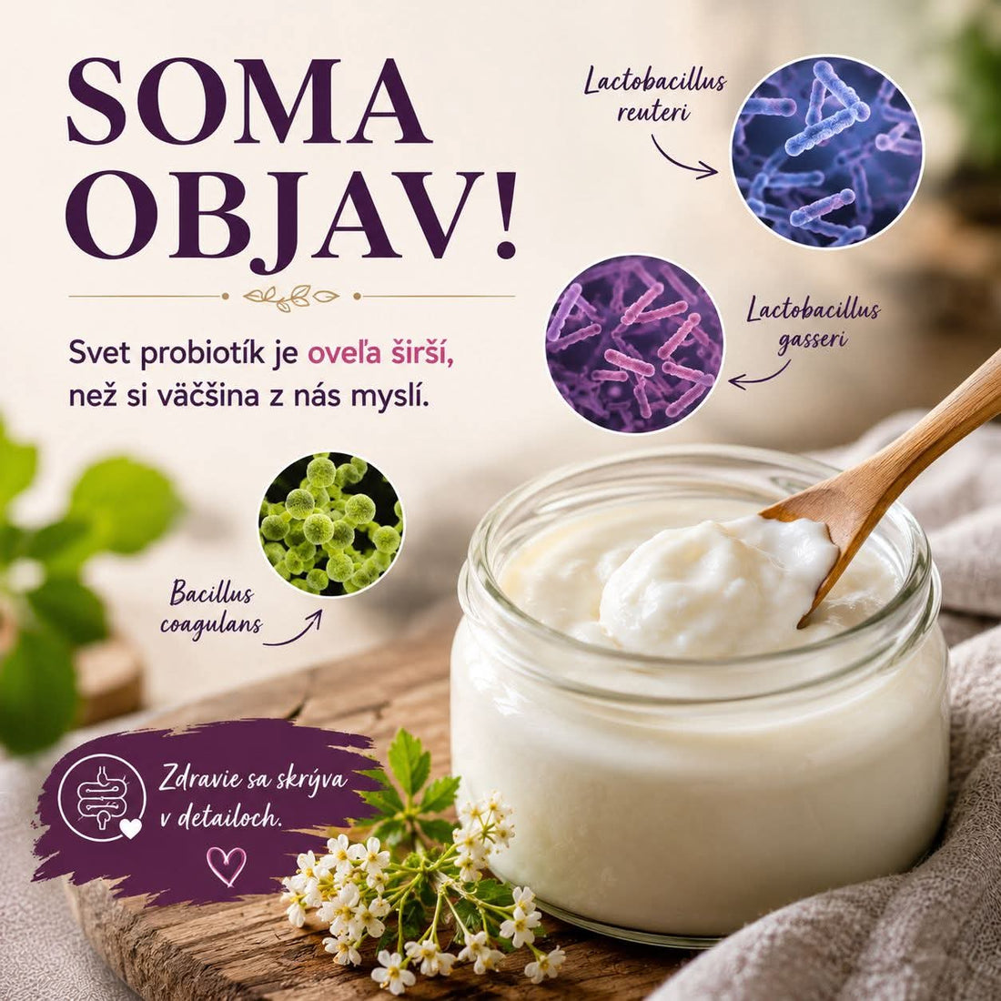 SOMA OBJAV - užitočné baktérie