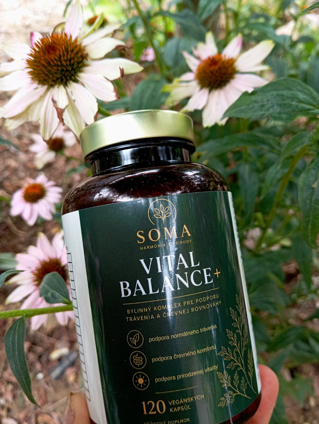 SOMA Vital Balance+
